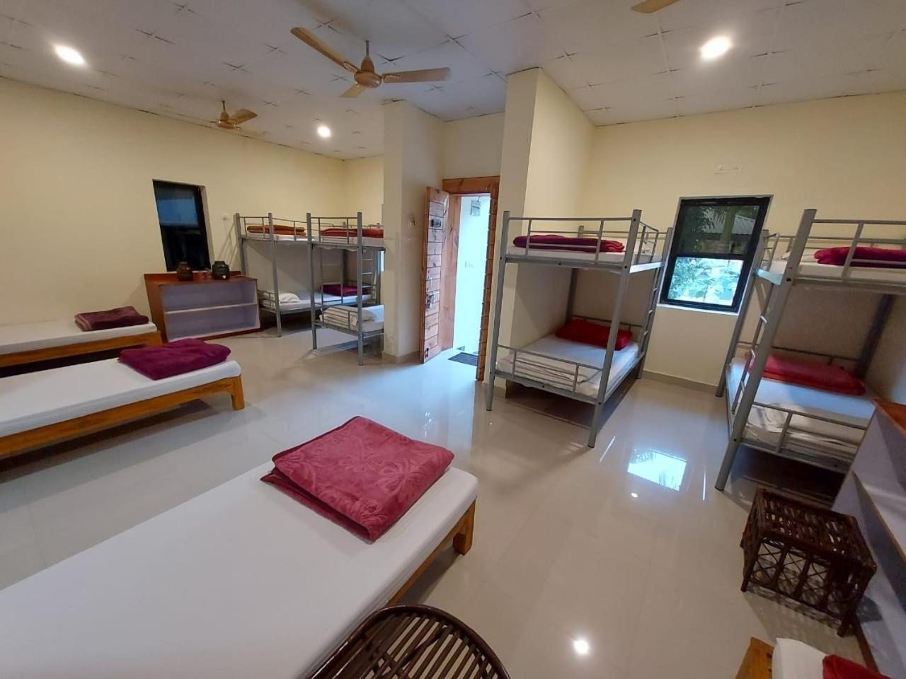 Tadoba Tiger Valley Resort Tadoba Mohurli 外观 照片