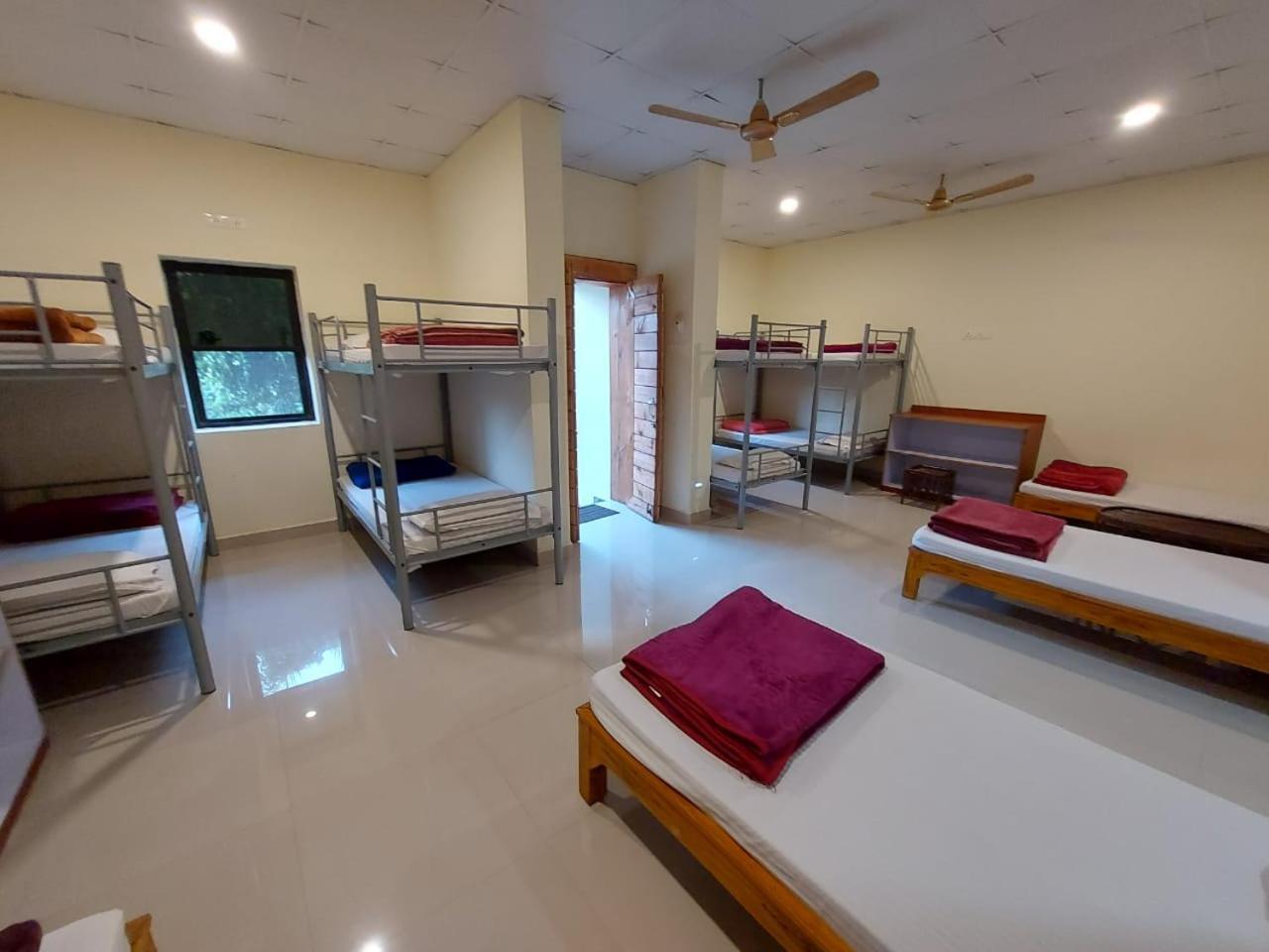 Tadoba Tiger Valley Resort Tadoba Mohurli 外观 照片